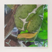 Snake Puzzle Legpuzzel (Horizontaal)