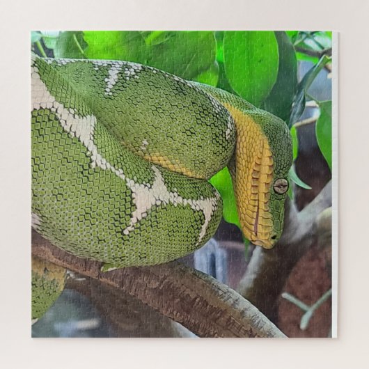 Snake Puzzle Legpuzzel (Verticaal)