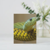 Snake Reptile Briefkaart (Staand voorkant)