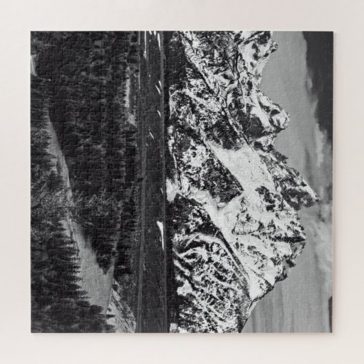 Snake River Bend - Grand Teton - 20x20 - 676 pcs Legpuzzel (Horizontaal)