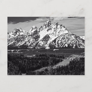 Snake River Curve - De Grote Tetons Briefkaart