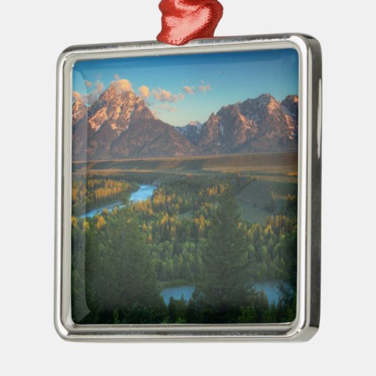 Snake River Overlook Metalen Ornament (Links)