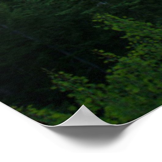 Snake River Overlook Poster (Hoek)