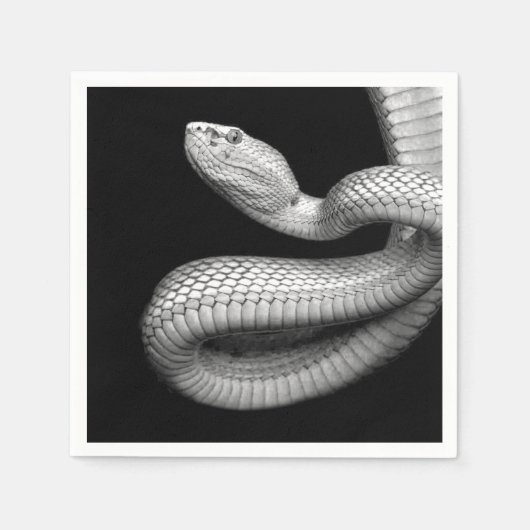 Snake Servet (Voorkant)