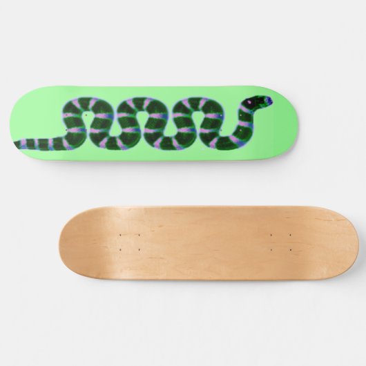 Snake Skateboard (Horizontaal)