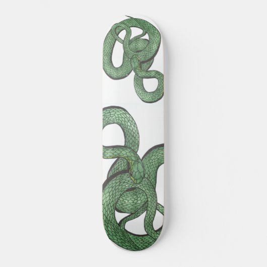 Snake Skateboard (Voorkant)