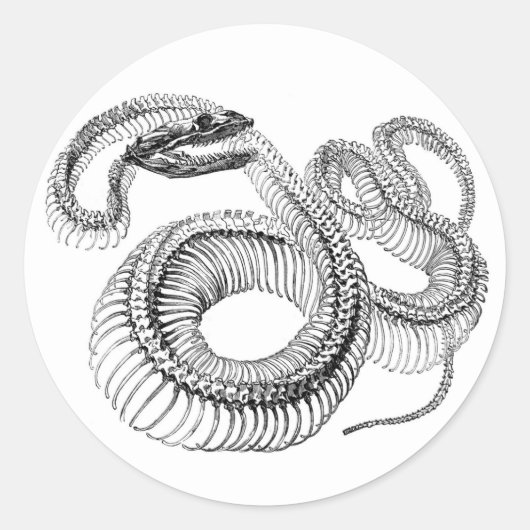 Snake Skelet Stickers (Voorkant)