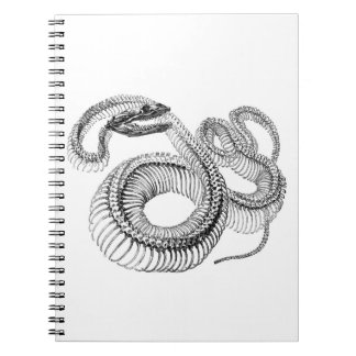 Snake Skeleton Notebook Notitieboek