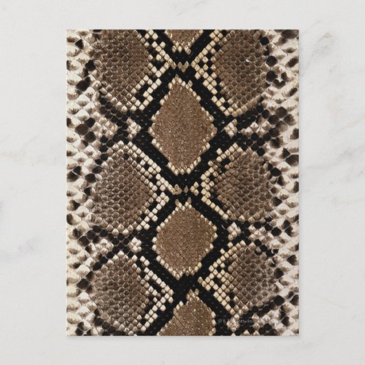 Snake Skin Briefkaart (Voorkant)