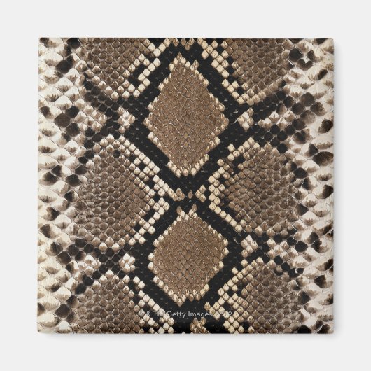 Snake Skin Magneet (Voorkant)