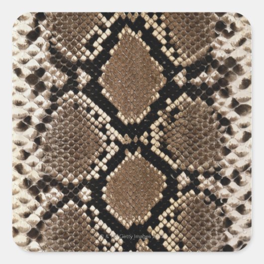 Snake Skin Vierkante Sticker (Voorkant)