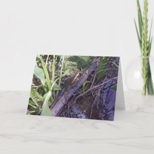 Snake Sunbat Custom Swamp Bayou Wenskaart Kaart