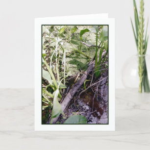 Snake Sunbat Wenskaart Kaart