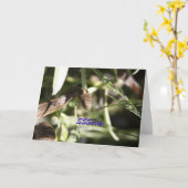 Snake Sympathy Card Kaart (Gele Bloem)