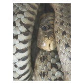 Snake Tafelkleed (Voorkant)