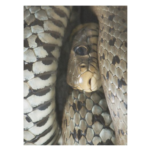 Snake Tafelkleed (Voorkant)