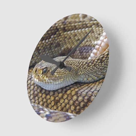 Snake Theme Acrylwand Ronde Klok (Hoek)