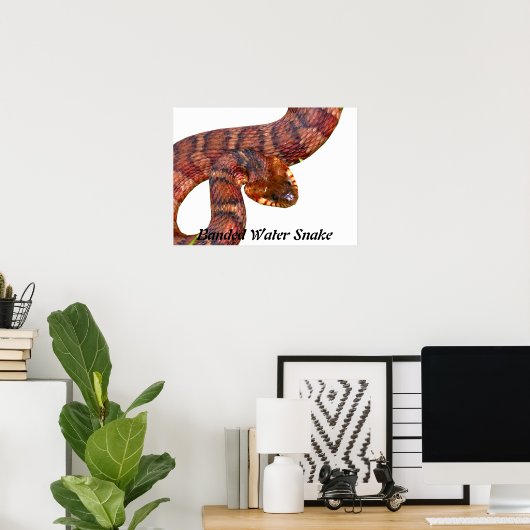 Snake van gepantserd water poster (Thuiskantoor)