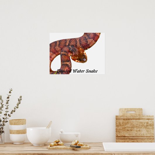 Snake van gepantserd water poster (Keuken)
