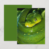 Snake Verjaardag Kaart Happy Verjaardag Snake (Voorkant / Achterkant)