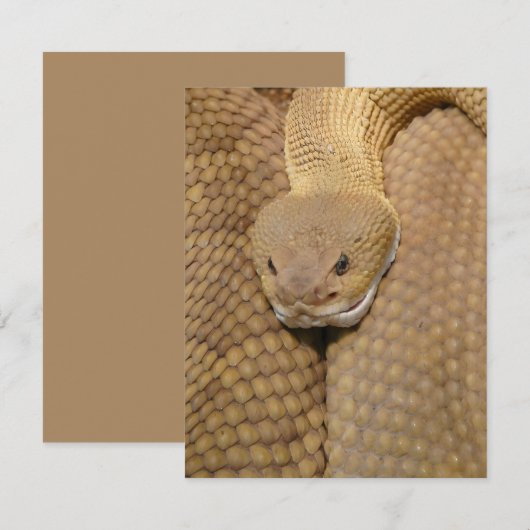 Snake Verjaardag Kaart Happy Verjaardag Snake (Voorkant / Achterkant)