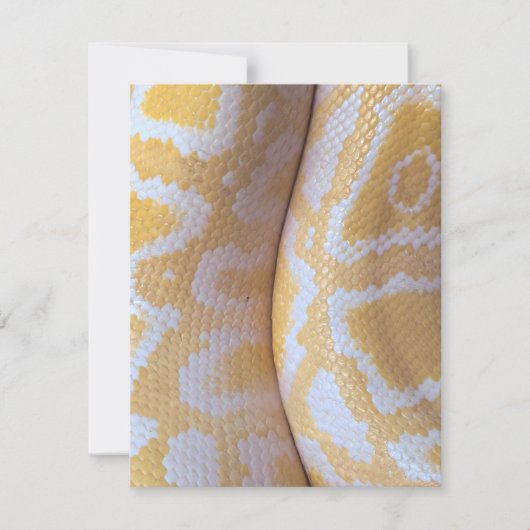 Snake Verjaardag Kaart Happy Verjaardag Snake (Voorkant)