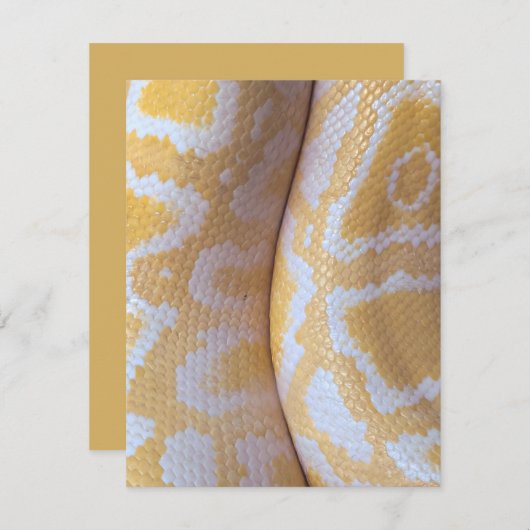 Snake Verjaardag Kaart Happy Verjaardag Snake (Voorkant / Achterkant)