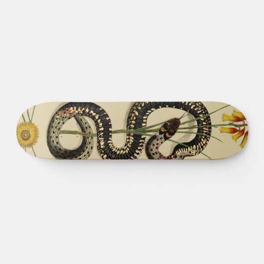 Snake & Wildbloemen in zand Persoonlijk Skateboard (Horizontaal)