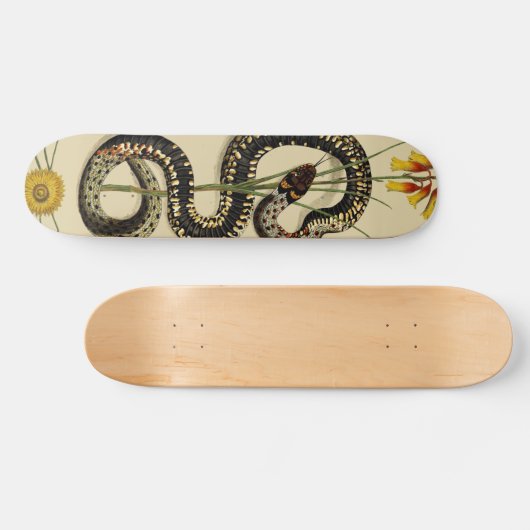 Snake & Wildbloemen in zand Persoonlijk Skateboard (Horizontaal)