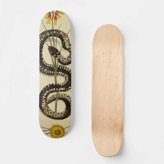 Snake & Wildbloemen in zand Persoonlijk Skateboard (Voorkant)