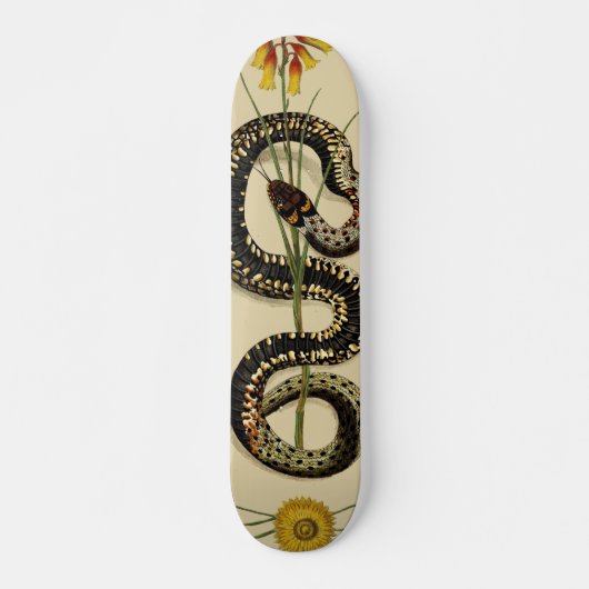 Snake & Wildbloemen in zand Persoonlijk Skateboard (Voorkant)
