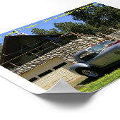 SnakeNGrass Poster (Hoek)