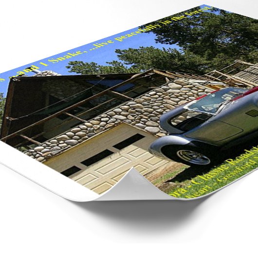 SnakeNGrass Poster (Hoek)