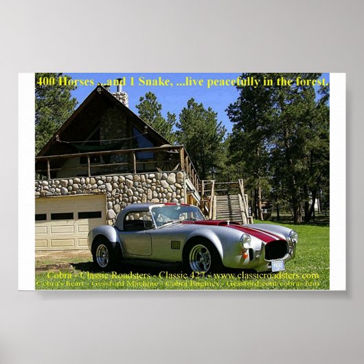 SnakeNGrass Poster (Voorkant)