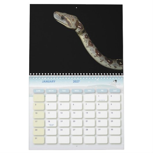 Snakes 16 maanden kalender (Jan 2027)