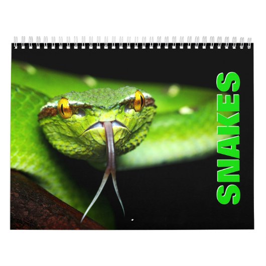 Snakes [1] Wall Calendar Kalender (Hoes)