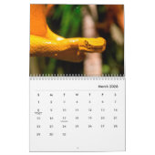 Snakes [1] Wall Calendar Kalender (Mar 2026)