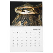 Snakes [1] Wall Calendar Kalender (Jan 2026)