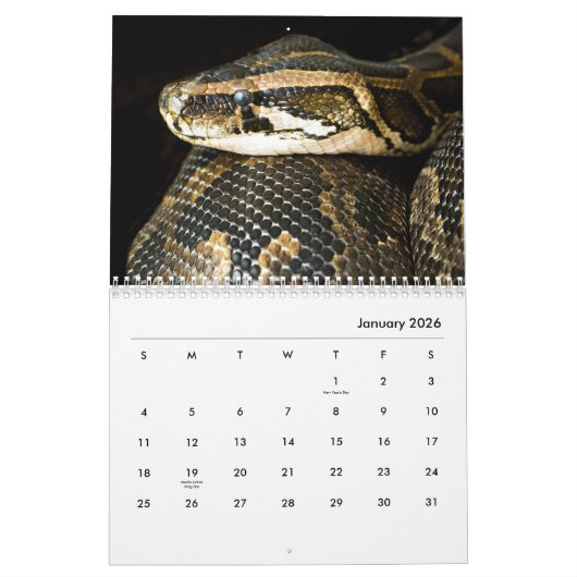 Snakes [1] Wall Calendar Kalender (Jan 2026)