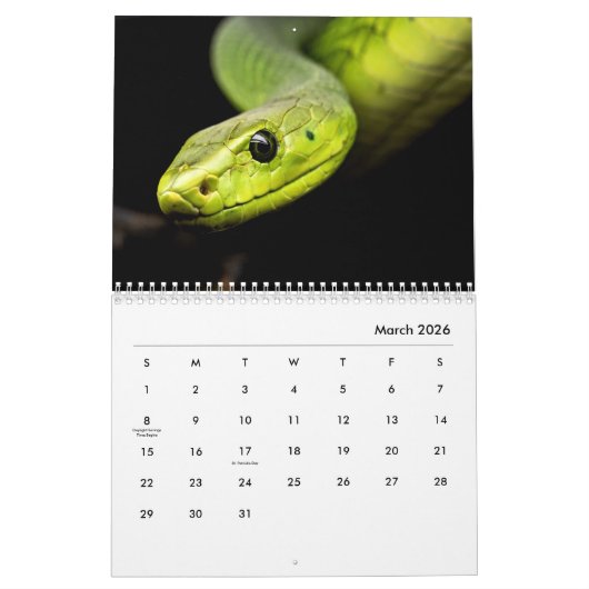 Snakes [2] Wall Calendar Kalender (Mar 2026)
