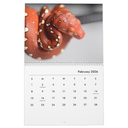 Snakes [2] Wall Calendar Kalender (Feb 2026)