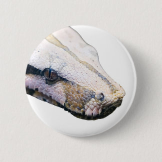 snakes- boa constrictor amazonica ronde button 5,7 cm