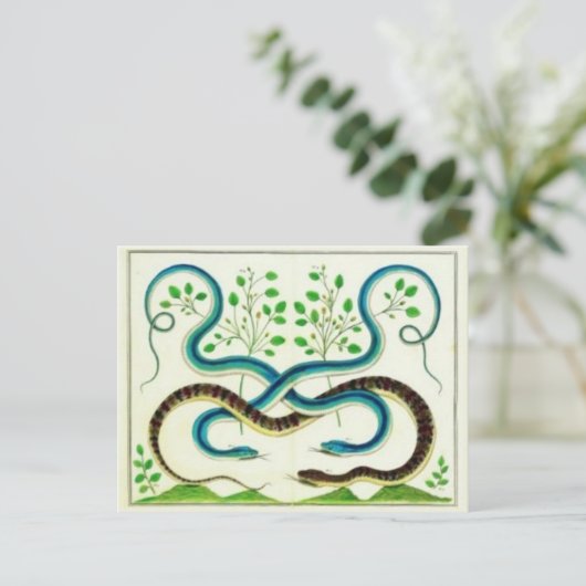 Snakes Briefkaart (Staand voorkant)