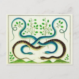 Snakes Briefkaart
