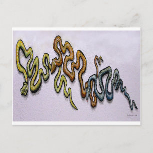Snakes Briefkaart