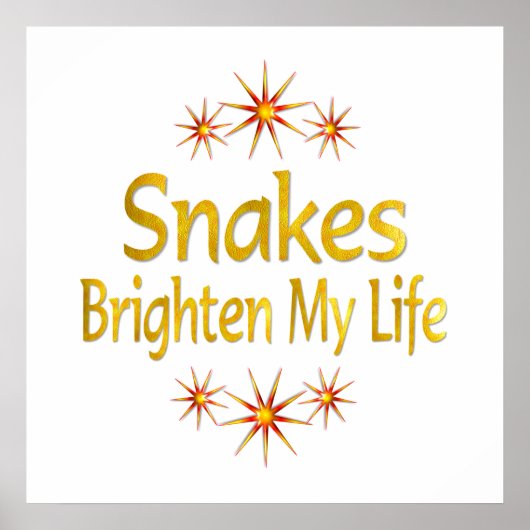 Snakes Brighes mijn leven Poster (Voorkant)