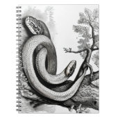 Snakes Notitieboek (Voorkant)
