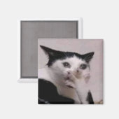 Snakkend Kat Meme Magneet (Voorkant / Achterkant)
