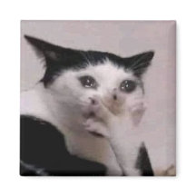 Snakkend Kat Meme