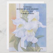SNAP DRAGONS  LETTERHEAD BRIEFHOOFD (Voorkant / Achterkant)